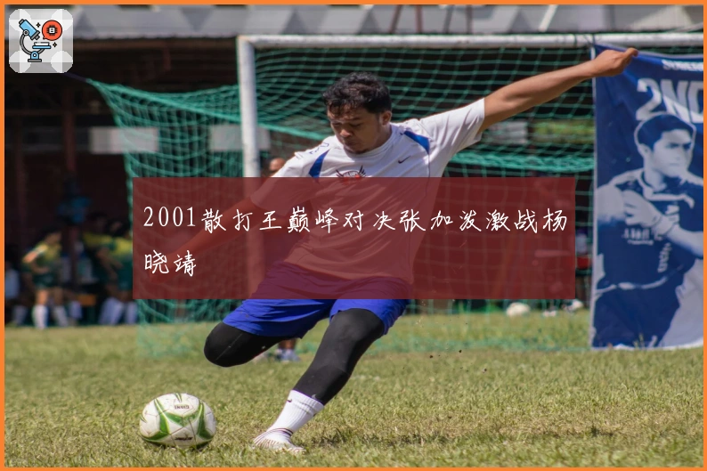 2001散打王巅峰对决张加泼激战杨晓靖