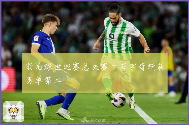 羽毛球世巡赛总决赛 - 石宇奇斩获男单第二