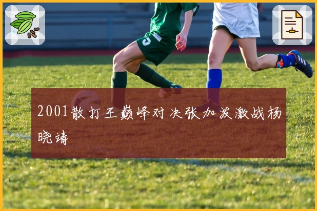 2001散打王巅峰对决张加泼激战杨晓靖